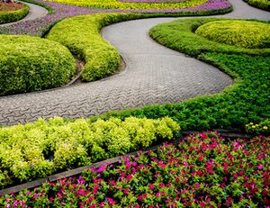 landscaping
